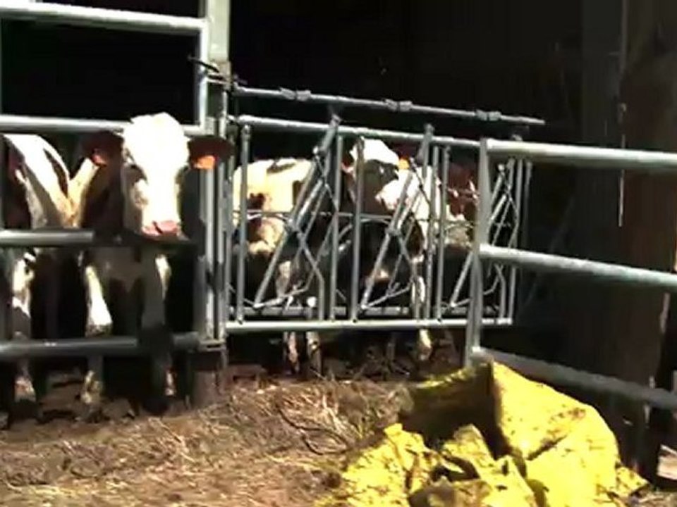 [NX] Raid Centrale Paris 2012 - Journée 1