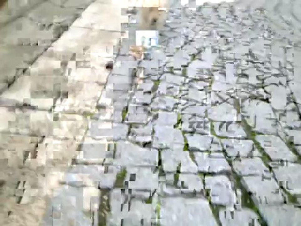 rot