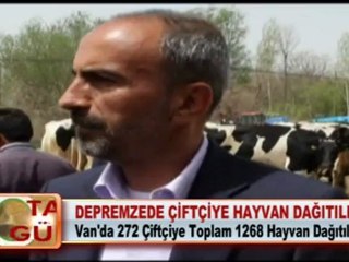 DEPREMZEDE ÇİFTÇİYE HAYVAN DAĞITILDI 07.05.2012