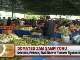 DOMATES ZAM ŞAMPİYONU 07.05.2012