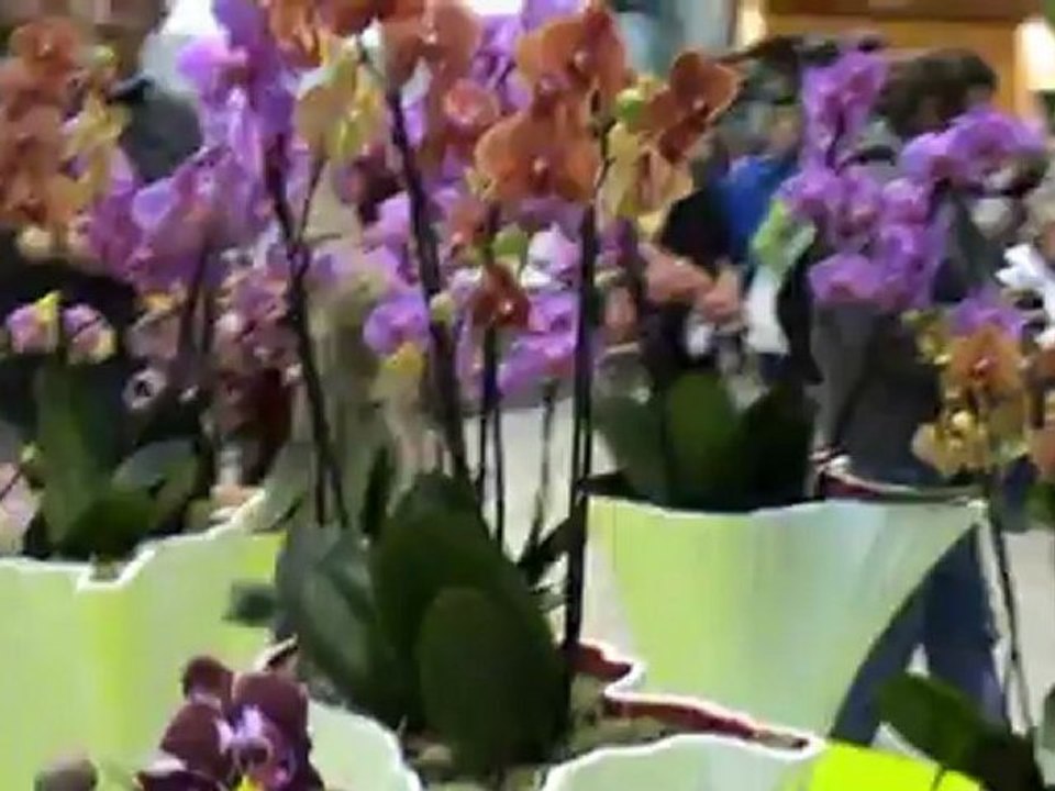 New01.mpg   FLORIADE  2012   N1      VENLO   HOLLANDE