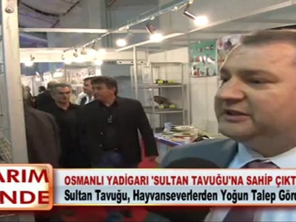 OSMANLI YADİGARI SULTAN TAVUĞU'NA SAHİP ÇIKTILAR 07 05 2012