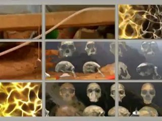 FOSİLLER "EVRİM YALAN" DİYOR