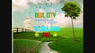 Owl City - Shy Violet (DJShyamCara Remix)