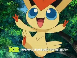 Disney XD - Pokemon Blanc