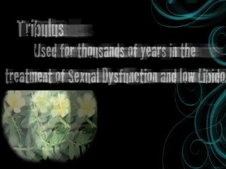 What Is In Vimax Pills