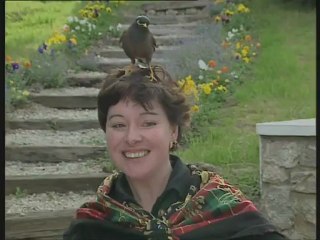 Lucky : une étonnante histoire d'amour entre un homme et un oiseau.