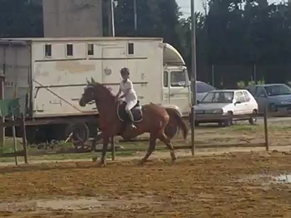 Carla2