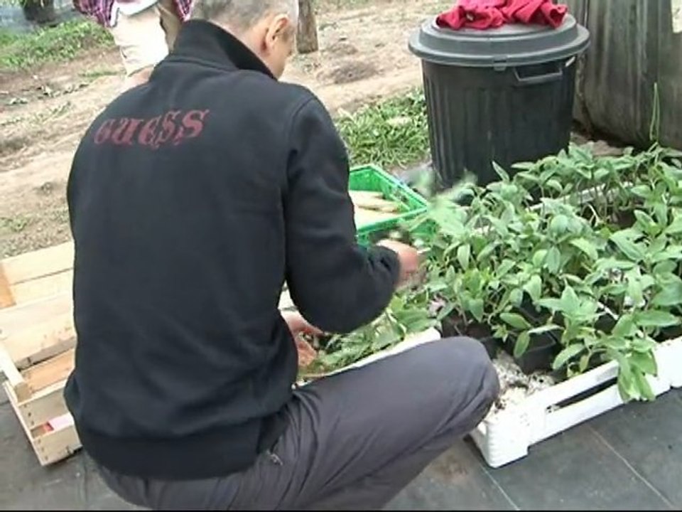 2012_05_04 vente de plants aux Jardins d'Icare