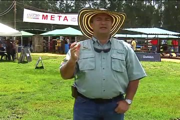 WORK HORSES Mayo 7 de 2012