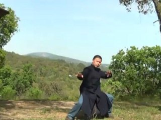 ZHI NENG QI GONG  Tai ji ball 1 & 2