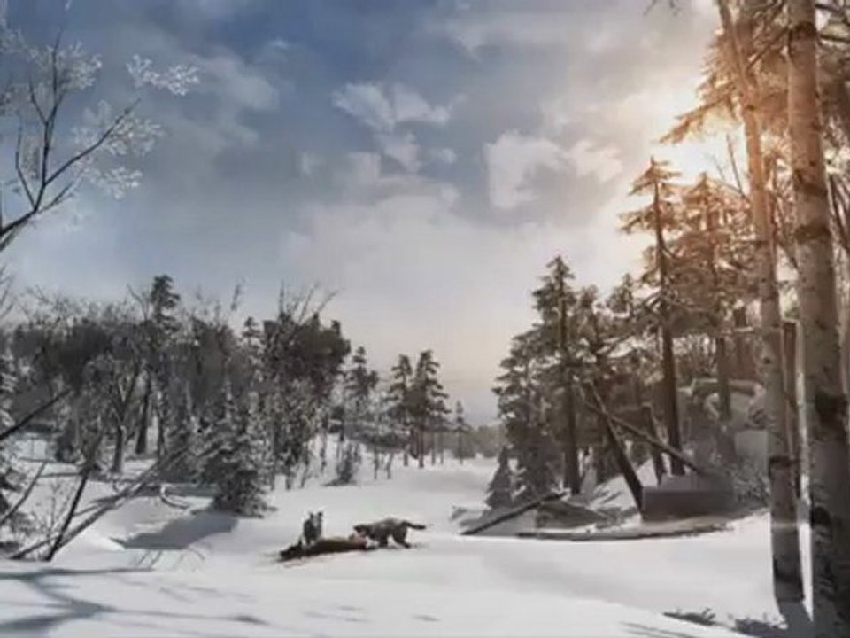 Teaser d'Assassin's Creed 3