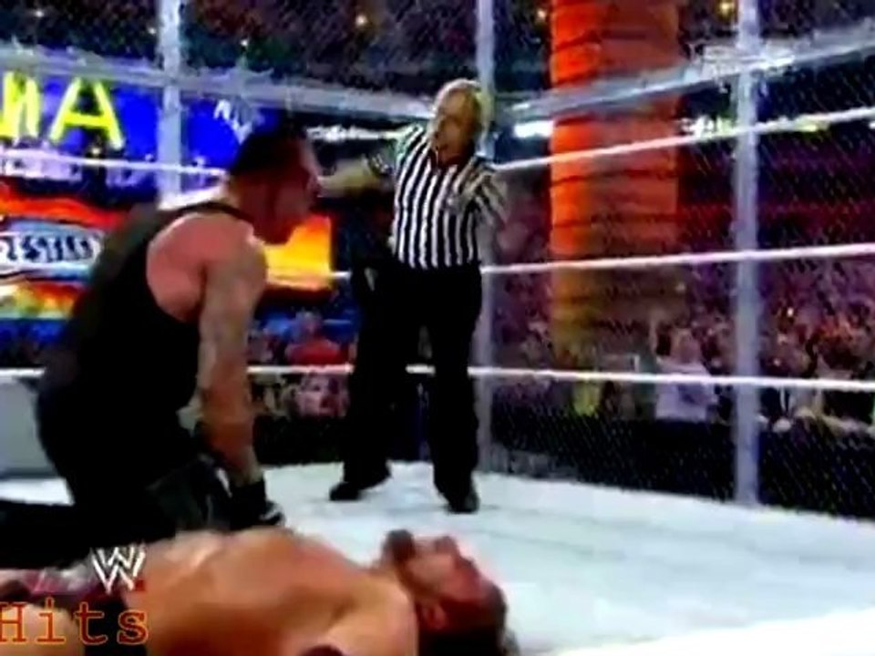 Undertaker vs Triple H Wrestlemania 28 part 3
