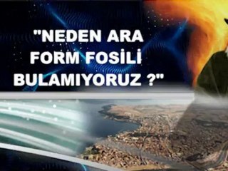 FOSİLLER "EVRİM YALAN" DİYOR