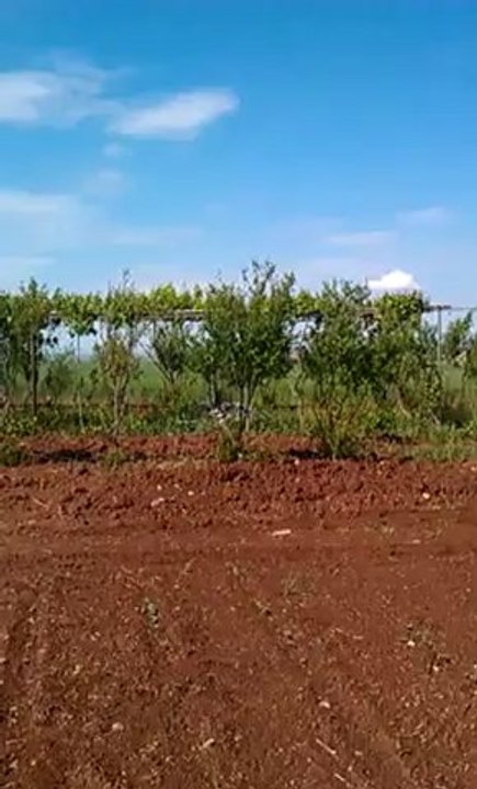 VIDEO0206
