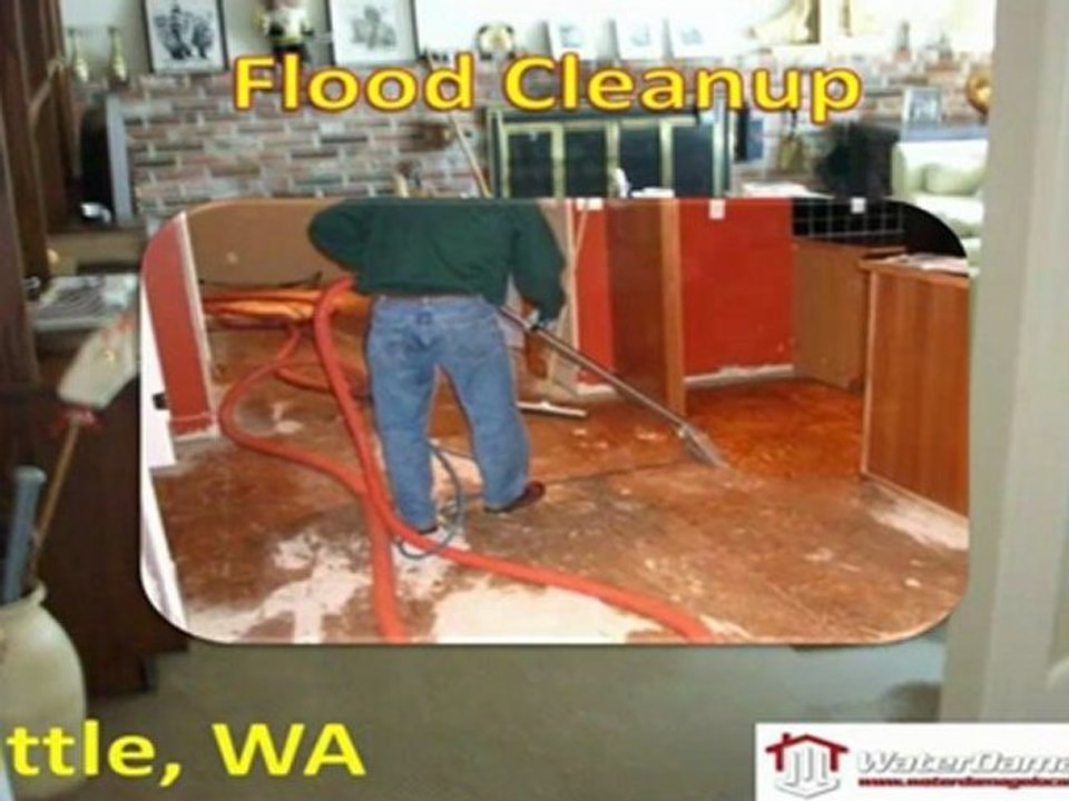 Flood Cleanup Seattle