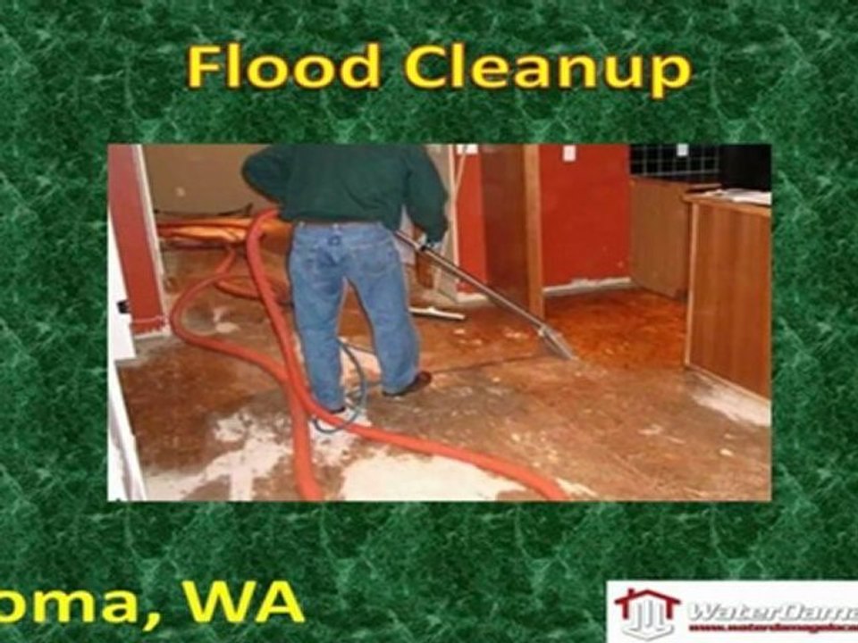 Flood Cleanup Tacoma