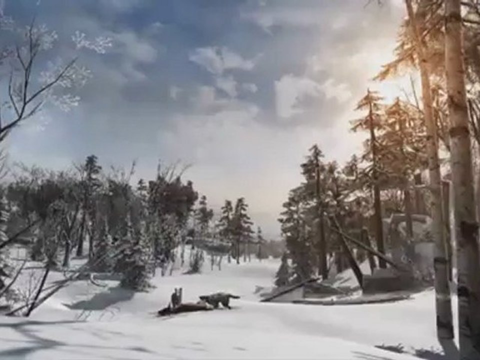 Assassin's Creed III : du gameplay !