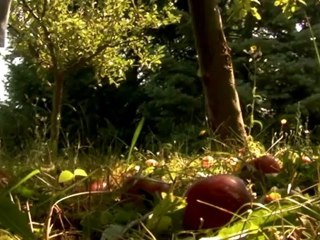 Child steps - Free HD stock footage