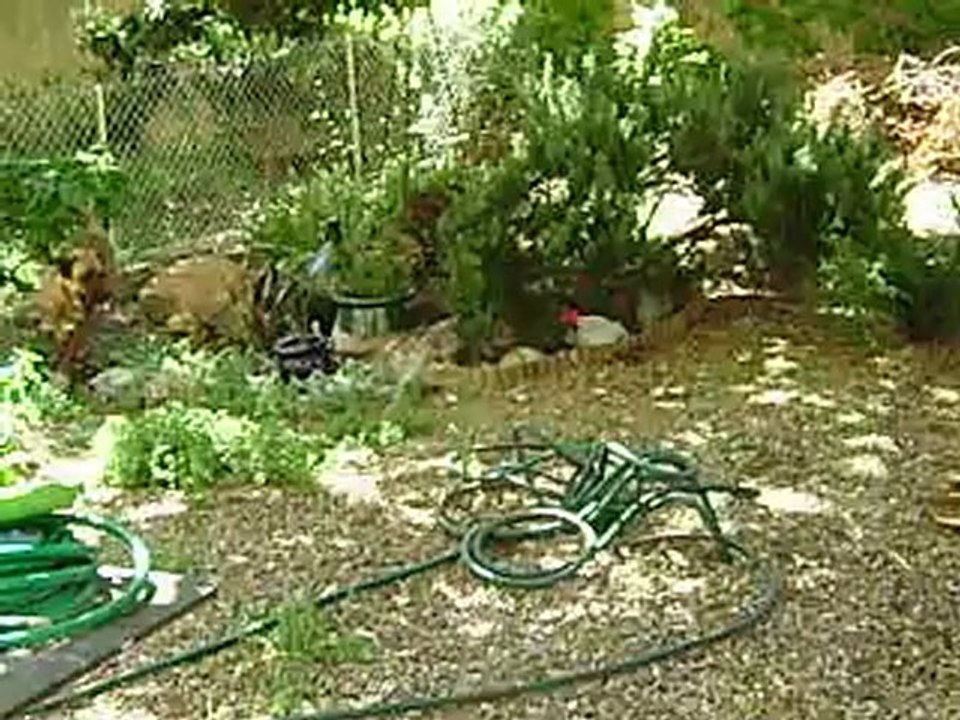 Leelo et Eros journée du Parc Athéna  N° 2