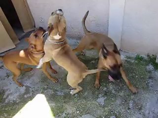 Leelo et Eros journée du Parc Athéna  N° 4