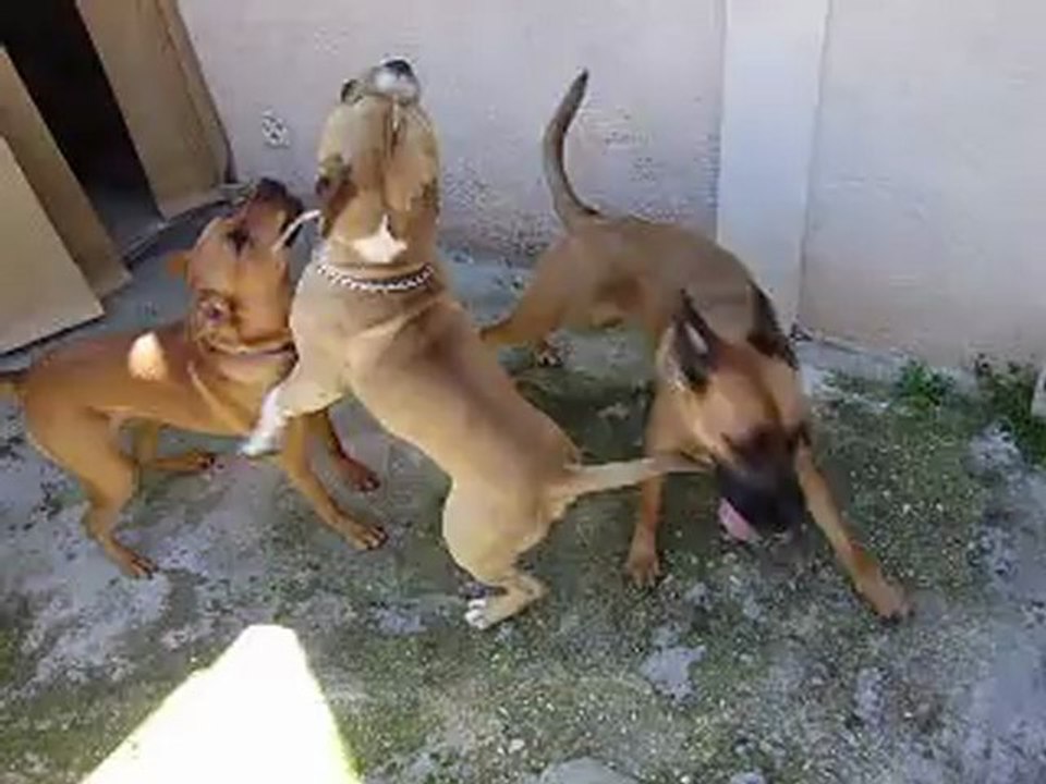 Leelo et Eros journée du Parc Athéna  N° 4