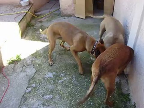 Leelo et Eros journée du Parc Athéna N° 5