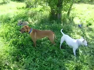 Leeloo et Eros journée du Parc Athéna n° 6