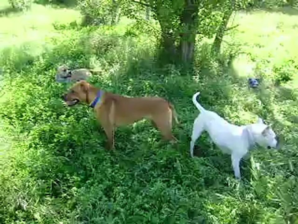 Leeloo et Eros journée du Parc Athéna n° 6