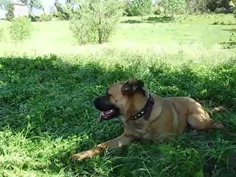 Leeloo et Eros journée du Parc Athéna n° 8