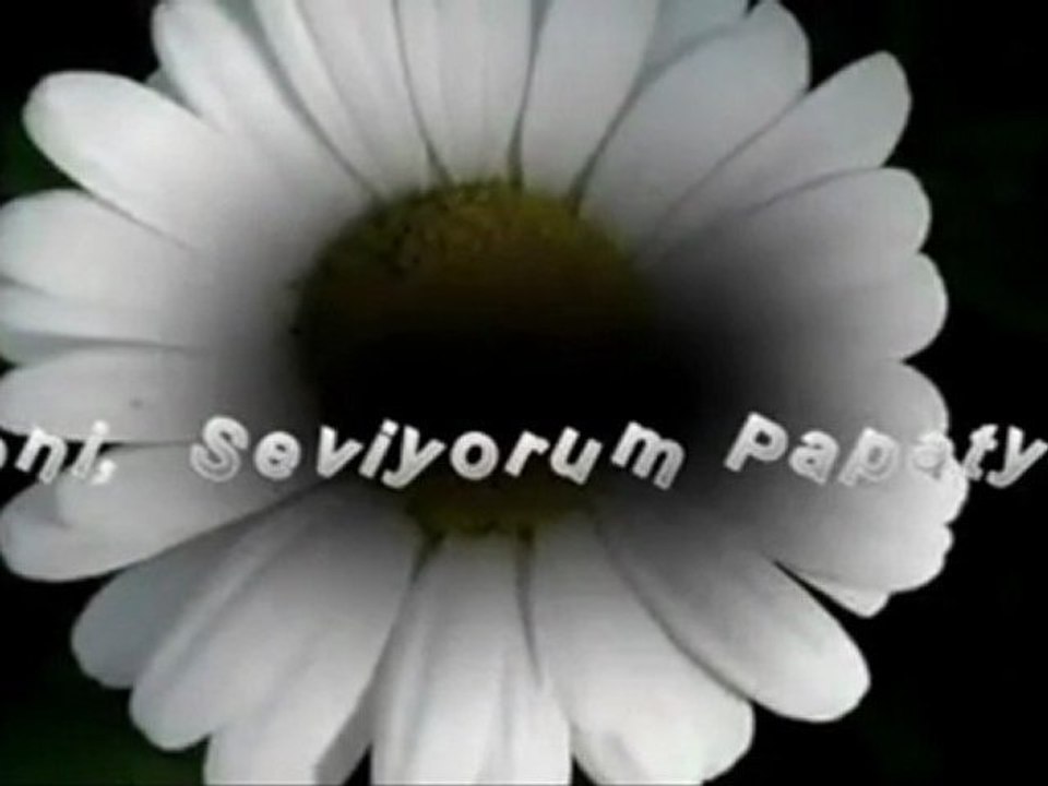 Zeki Müren -- Sevemez kimse seni, benim sevdiğim kadar