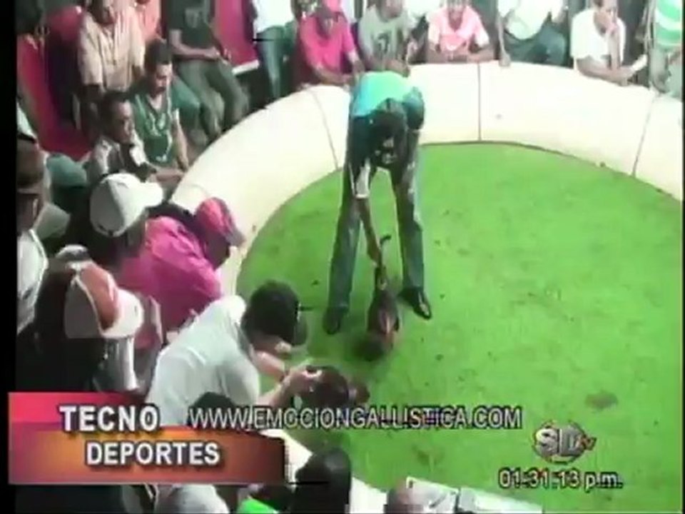 1era Parte Programa TECNODEPORTES jugada Club Gallistico La Montaña de Las Yayas de  Azua por Manuel Perelló.-