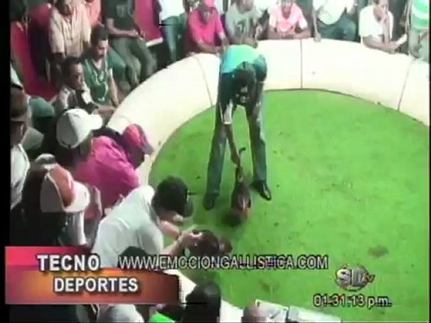 1era Parte Programa TECNODEPORTES jugada Club Gallistico La Montaña de Las Yayas de Azua por Manuel Perelló.-