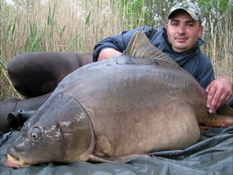 carpe 30.4kg piqué face camera