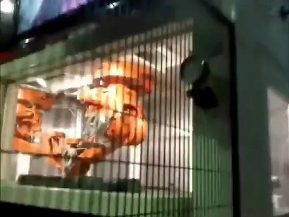 ABB ROBOT ROBOTMER IRB 2400 WATERJET SU JETI KESIM