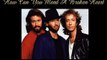 How Can You Mend A Broken Heart - Bee Gees-Legendado