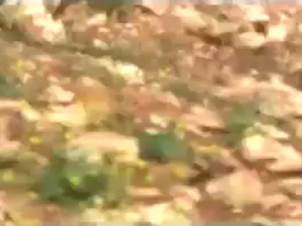 فري برس  حلب حيان  احراق بيوت الناشطين 7 5 2012 Aleppo