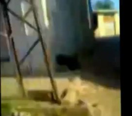 فري برس حماة المحتلة حلفايا اضراب عام اعتراضا على انتخابات مجلس  7 5 2012 Hama