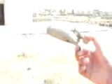 فري برس درعا معربة اثار القصف العشوائي على البلدة 6 5 2012 Daraa