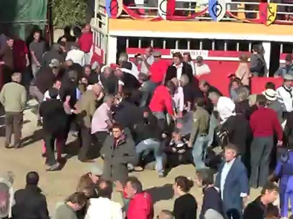 Rassemblement anti corrida arène Rodilhan 08-10-2011