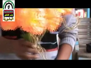 فري برس إدلب جسر الشغور البشيرية انتخابات مجلس الشعب على طريقة الثوار 7 5 2012 Idlib