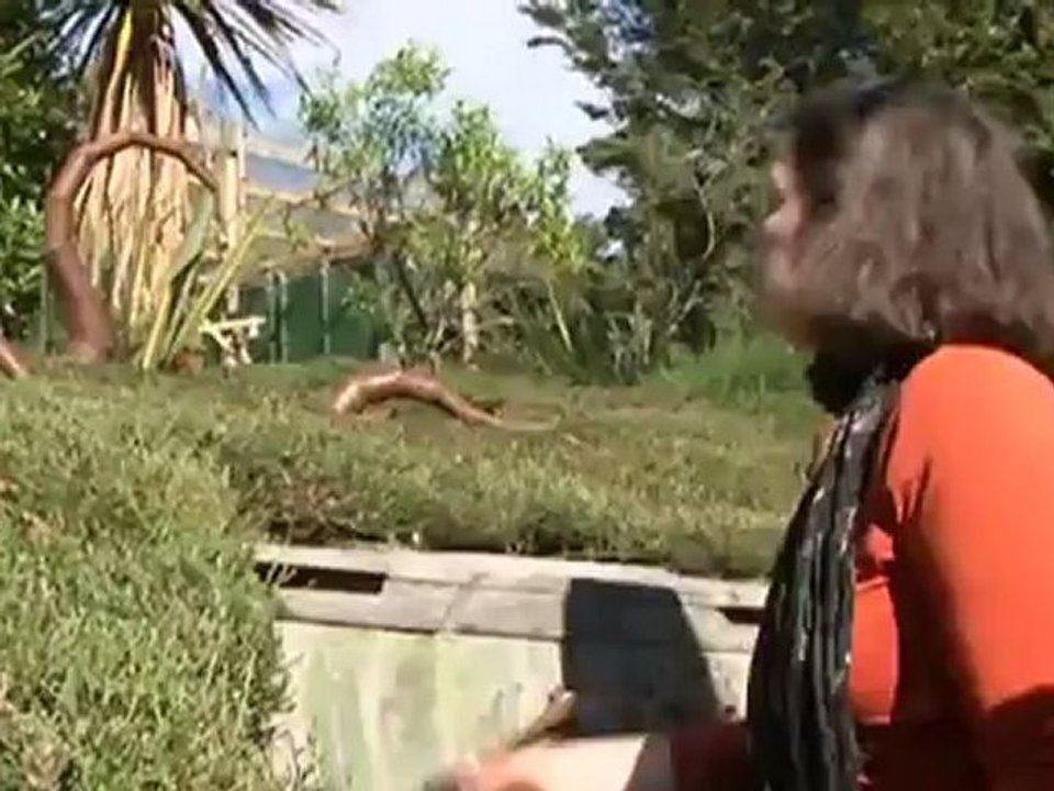 On the Road in New Zealand - Inka Parei | Arts.21