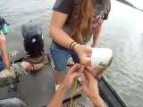GoPro Aerial Bowfishing