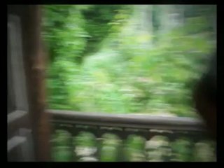 The Tree House at Elephant Valley(iphone)