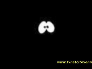 Le Tvnet Face Bouc Show n°17