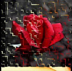 LUNA AMARA~ROSU APRINS