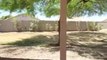 Phoenix Rent to Own Homes- 3324 N 84TH LN Phoenix, AZ 85037- Lease Option Homes - YouTube