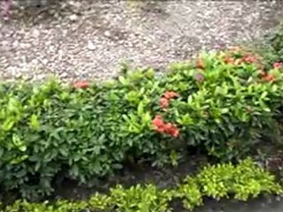 BIRLA PLANETARIUM KOLKATTA WEST BENGAL