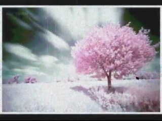 عبد الباسط عبد الصمد سورة الشمس