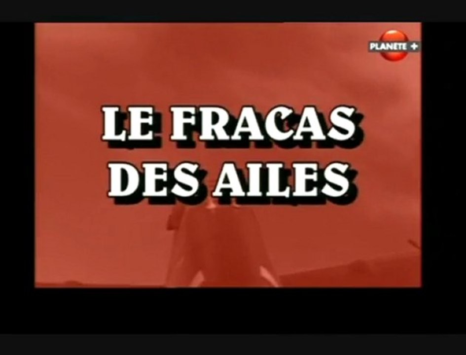 Le fracas des ailes (Les ailes du soleil levant)